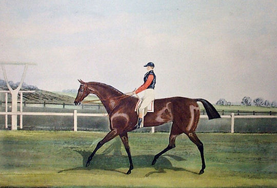 St Leger Winners: St Leger Winner 1827: Matilda